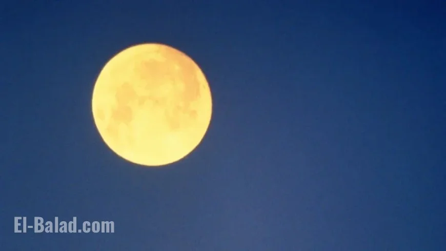 Wolf Moon on January 3, 2026: 4 Zodiac Signs Greatly Affected