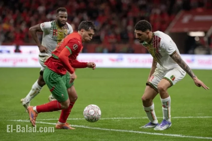 Zambia vs. Morocco Live | Africa Cup Today