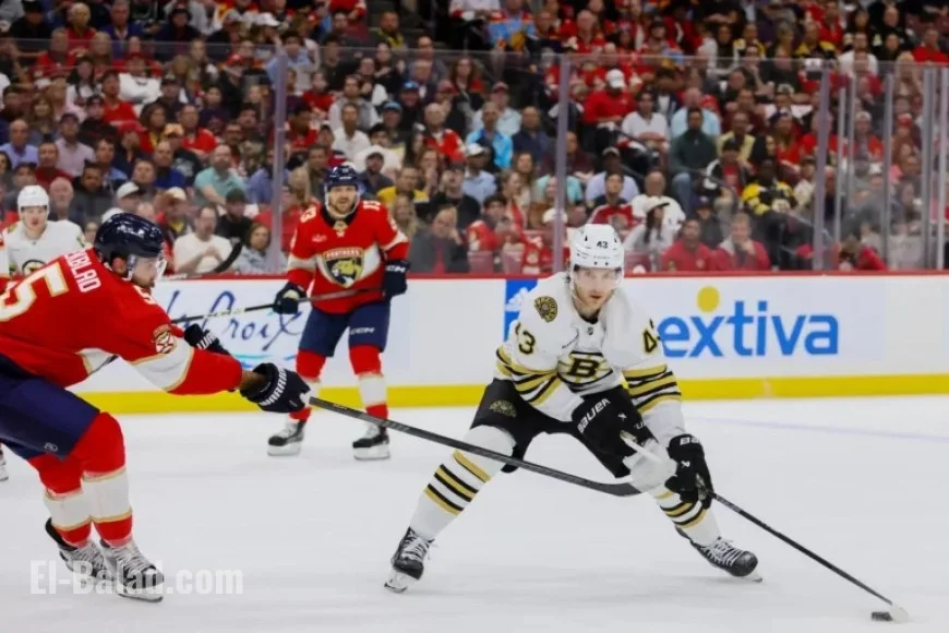 Ex-Boston Bruins Winger Placed on Waivers
