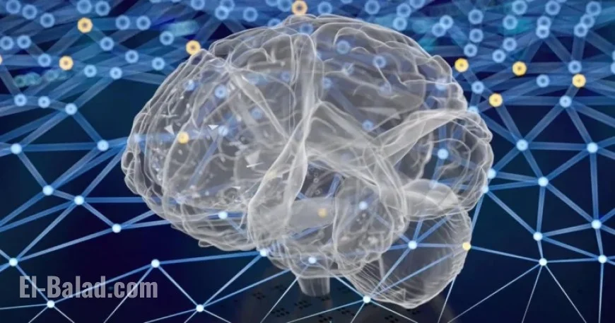 New Study Reveals Full Reversal of Alzheimer’s in Animal Models