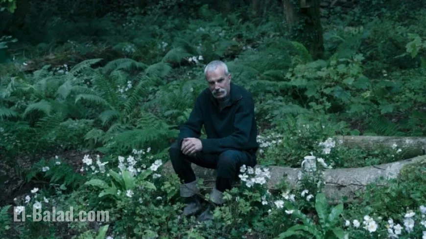 Daniel Day-Lewis Retires, Son Launches Promising Career