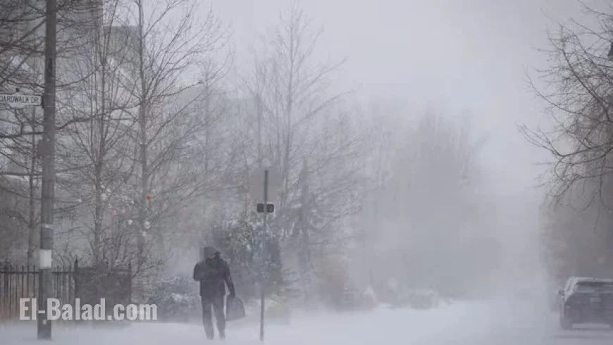 Toronto Braces for Strong Winds and Cold Snap Following Heavy Rainstorm