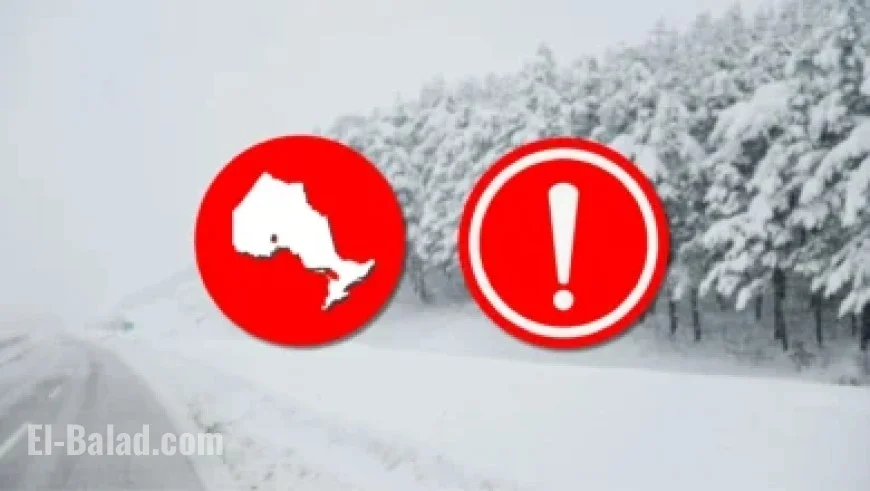 Showdown with the Kings Unfolds