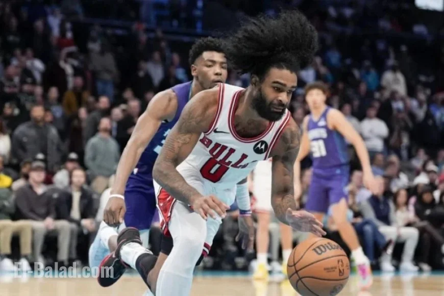 Bulls Highlights: White, Giddey, Collins, Williams Shine