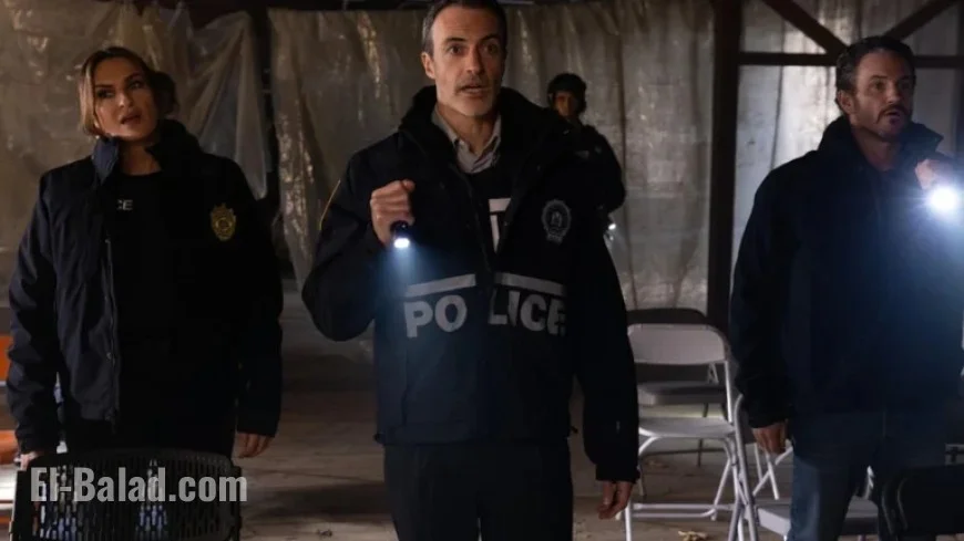 Law & Order Teases Explosive SVU Crossover with Brady and Veep Alum