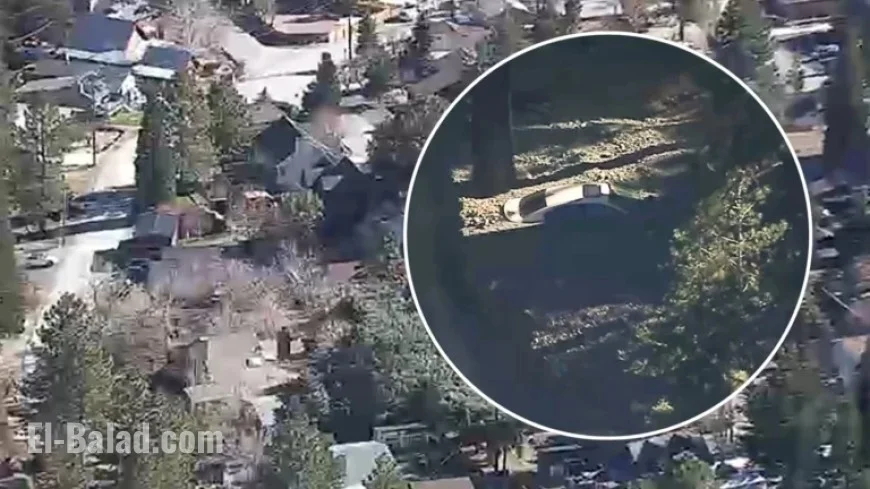 AIR7 Reveals First Aerial View of Wrightwood Storm Damage