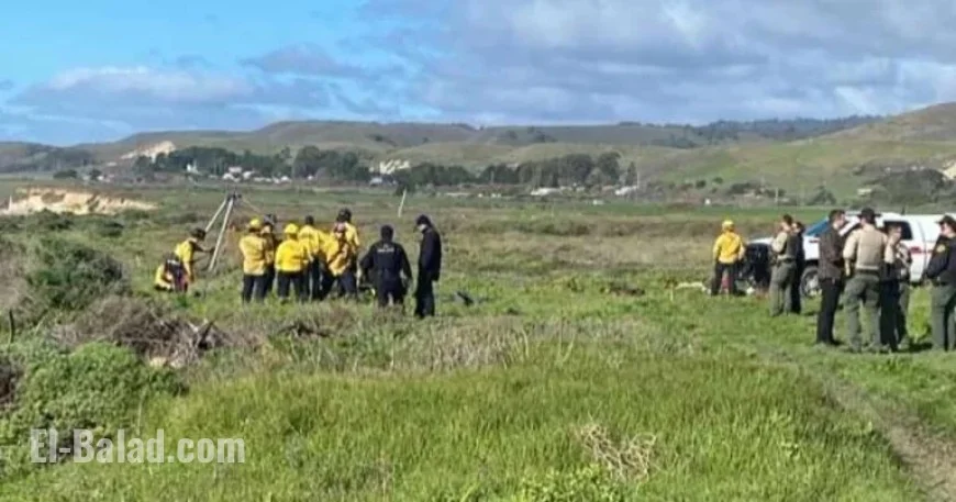 California Swimmer Found Dead, Suspected Shark Attack Victim