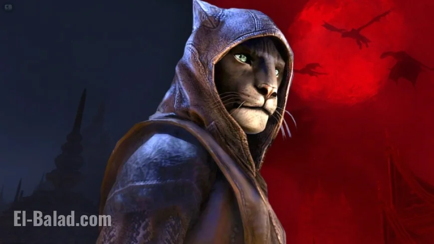 Elder Scrolls 6 Release Date Update Revealed