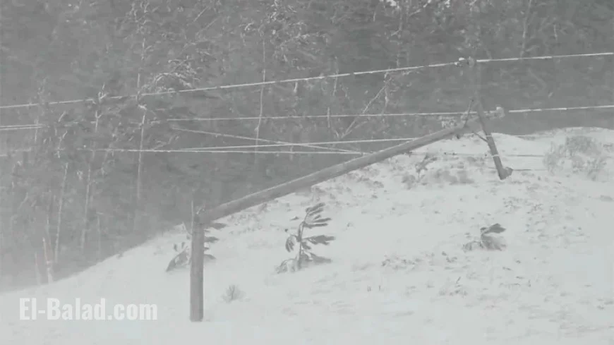 Winter Storm Ezra Slams Midwest: Latest Updates