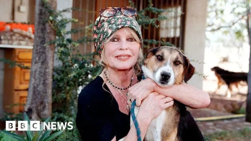 French Right Advocates National Tribute for Film Icon Brigitte Bardot