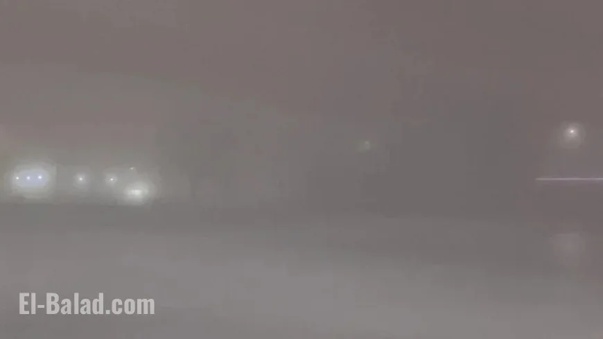 Dense Fog Envelops the Area
