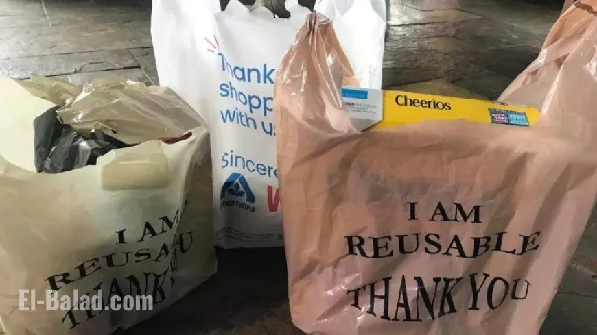 California’s Plastic Bag Ban: When Will Paper Replace Plastic in Stores?