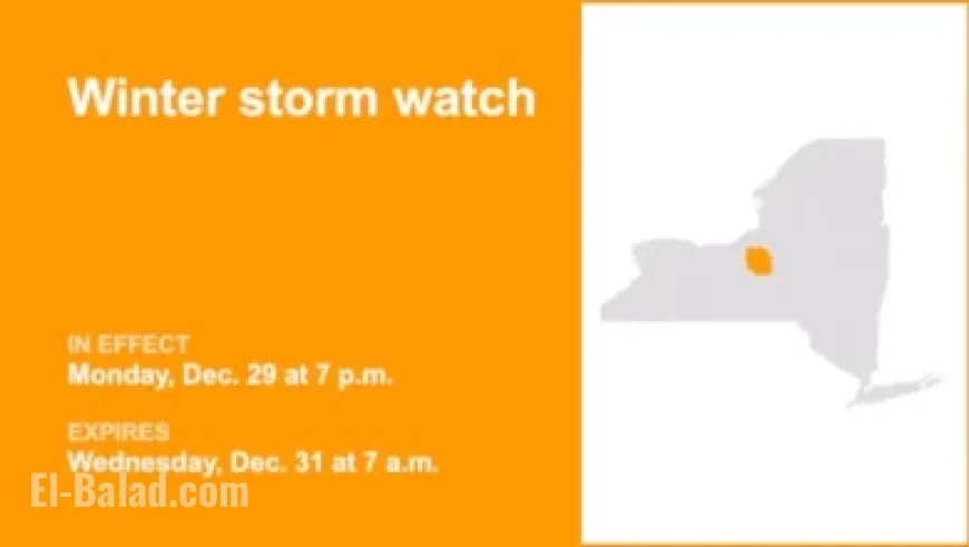 Malta Evolves Citizenship: Strategic Recognition of Exceptional Contributions