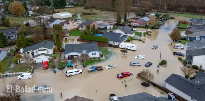 Levee Failures Highlight Risks from Aging U.S. Flood Defenses