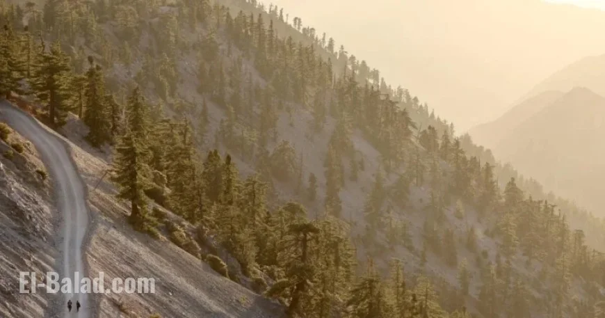 Tragedy on Mt. Baldy: Harsh Weather Impedes Recovery of Hikers’ Bodies