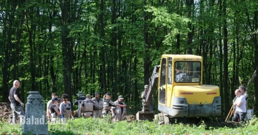 Ukraine Announces Decision on UPA Victims Search in Puźniki