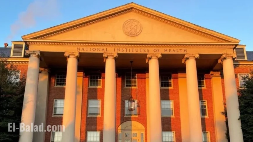 NIH to Reevaluate Suspended DEI Grants