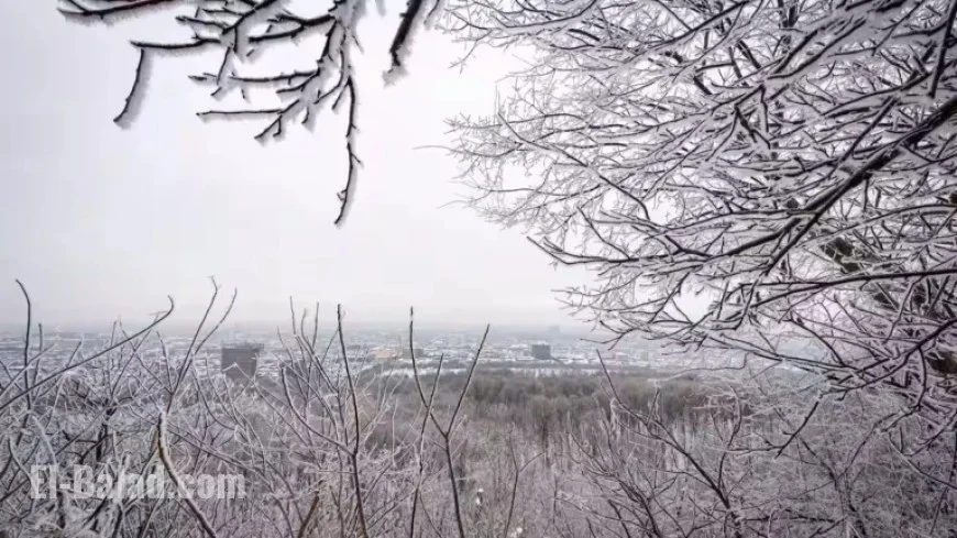 Ice Accumulations in Quebec: Current Measurements Revealed