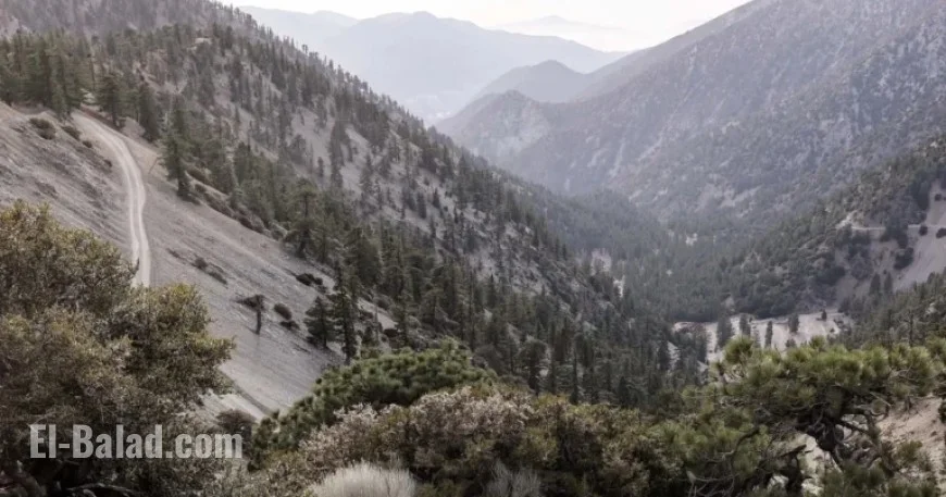 Three Hikers Discovered Dead Near Southern California Trail