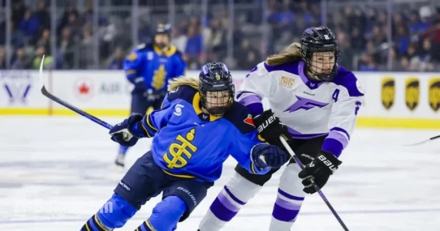 Minnesota vs. Toronto: Dec. 30 Pre-Game Overview