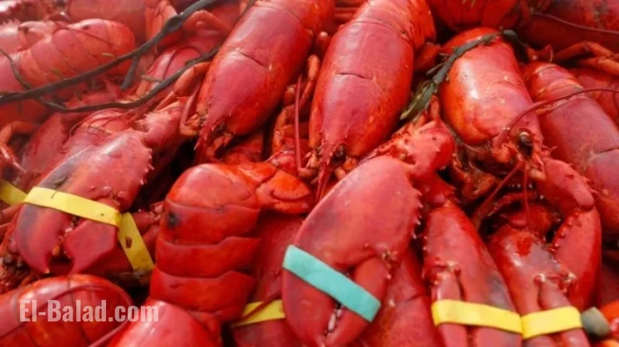 New England Heist: Thieves Steal $400K in Lobster, Oysters, and Crab