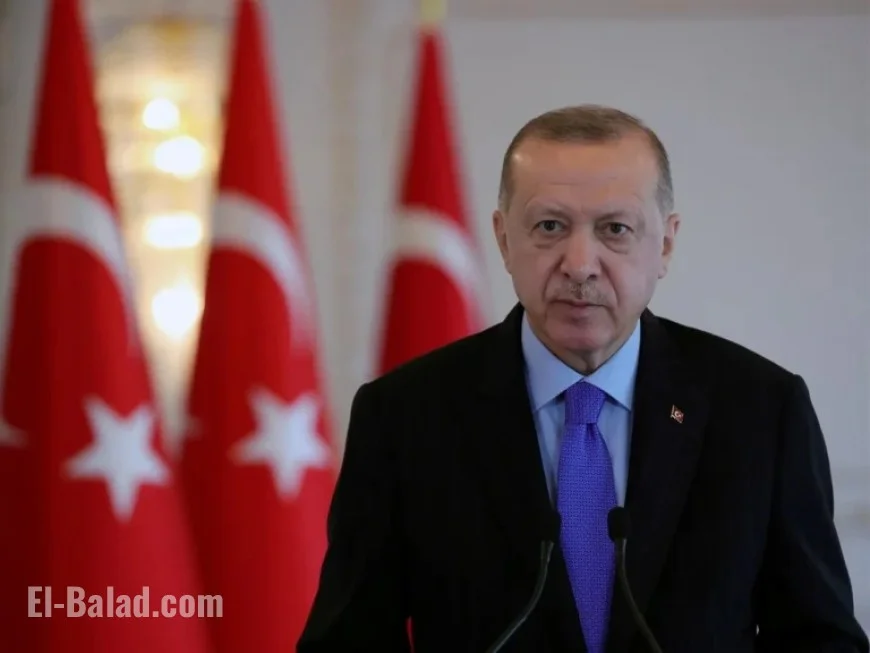 Turkiye, Niger Presidents Discuss Bilateral Ties and Regional Developments