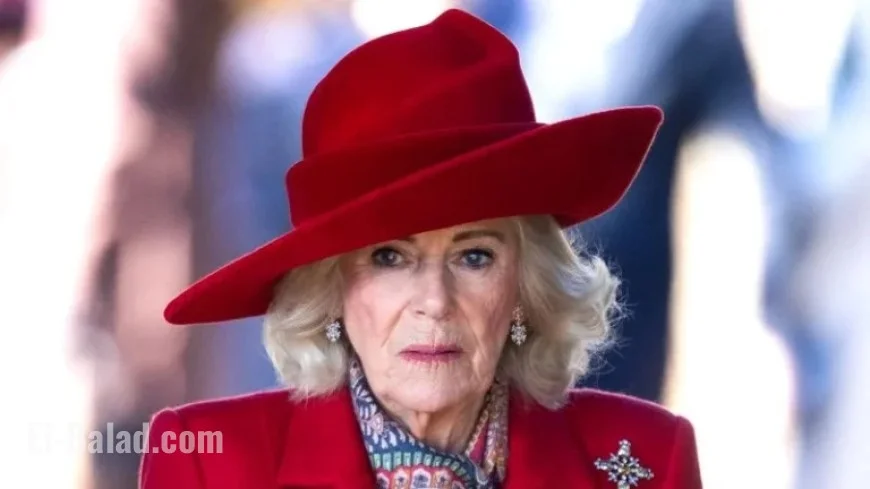Queen Camilla Discusses Her Teen Train Attack Experience Publicly for First Time