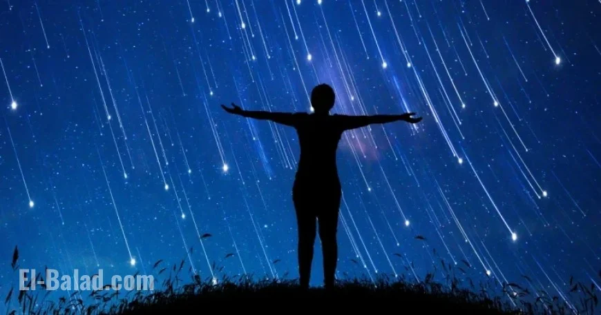 Zodiac Forecast 2024: What Awaits Your Sign