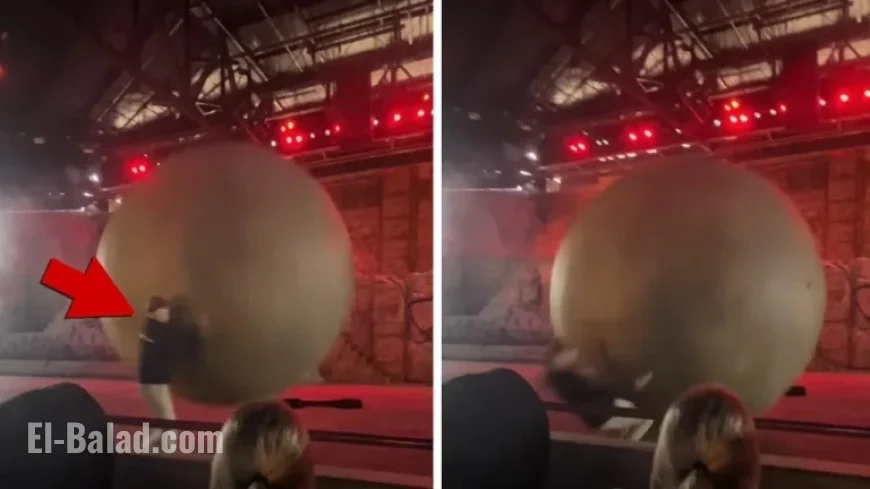 Disney World Employee Struck by Giant Boulder in Captured Footage