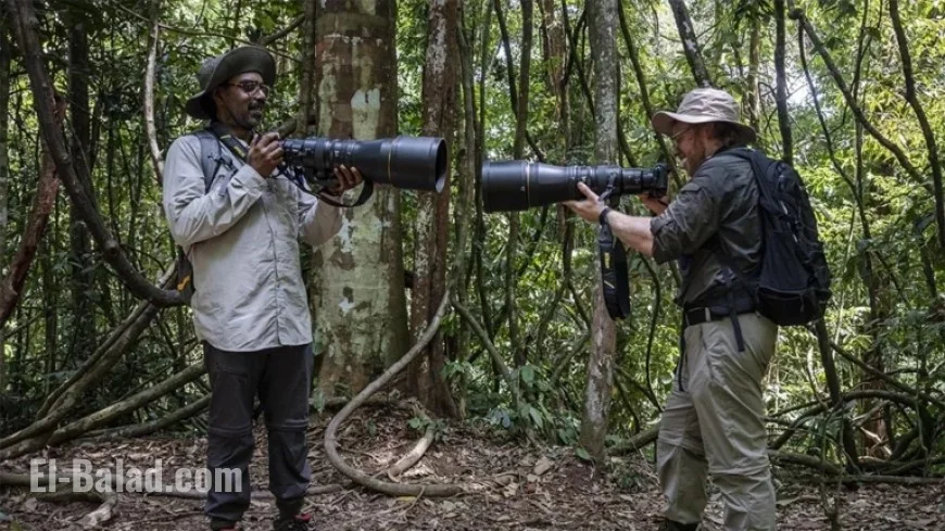Rob & Romesh Tackle the Jungle: Sky Max HD Air Date & Details