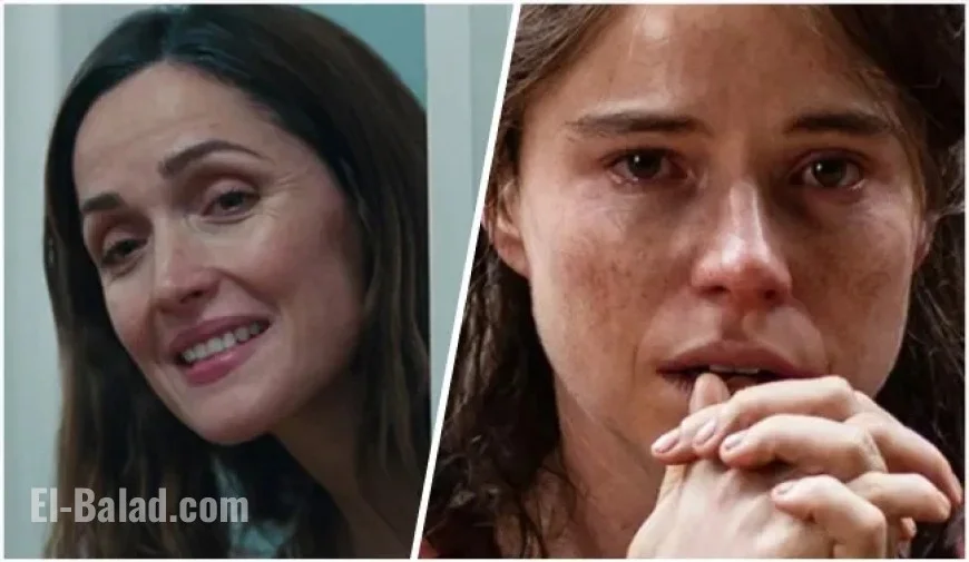 Rose Byrne Overtakes Jessie Buckley in Best Actress Oscar Odds Shift