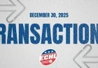 ECHL Official Site: Latest Transactions Update