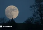 Witness the January 2026 Wolf Supermoon: Viewing Guide and Timing