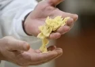 Italy Escapes 107% Pasta Tariffs as Decision Reversed