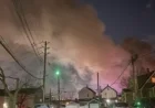 Firefighters Combat Major Blaze in Roselle Park