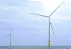 Lawsuit Filed Against Trump for Stopping Major US Offshore Wind Farm