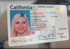 325,000 Californians Must Replace REAL IDs Due to DMV Software Error