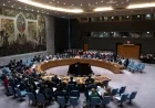 Colombia Joins UN Security Council as a New Member