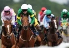 Live Saturday: Lingfield, Newcastle, and Southwell Race on Sky Sports