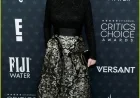 Jean Smart and Hannah Einbinder Attend 2026 Critics Choice Awards