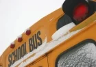 Freezing Rain Forces School Bus Cancellations Across GTA