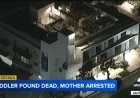Toddler Dies from Frying Pan Injuries in Santa Monica; Mother Arrested