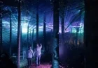 Aquavia Lumina Transforms Wisconsin Dells with Enchanted Night Walk