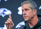 Dolphins Yet to Contact John Harbaugh: Report