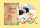 Art Experts Discover Leonardo da Vinci’s DNA on Masterpiece