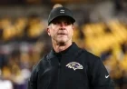 John Harbaugh Delays Coaching Job Interviews Until Next Week