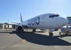 Avelo Airlines Halts Deportation Flights Amid Protests
