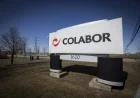 Food Distributor Colabor Seeks Creditor Protection, Considers Purchase Offer