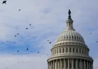 US Senate Moves to Limit Trump’s Military Powers in Venezuela