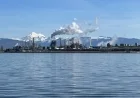 Officials Admit Washington State’s Climate Efforts Lack Substance